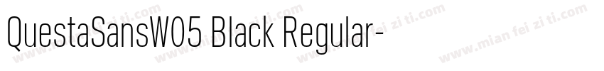 QuestaSansW05 Black Regular字体转换